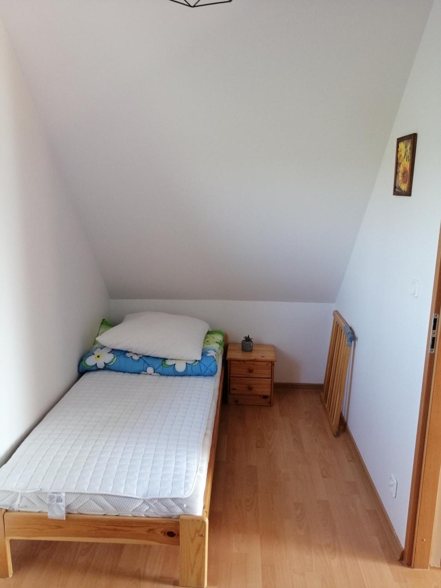 Domki Alex I Maciek Plesna  Exterior photo
