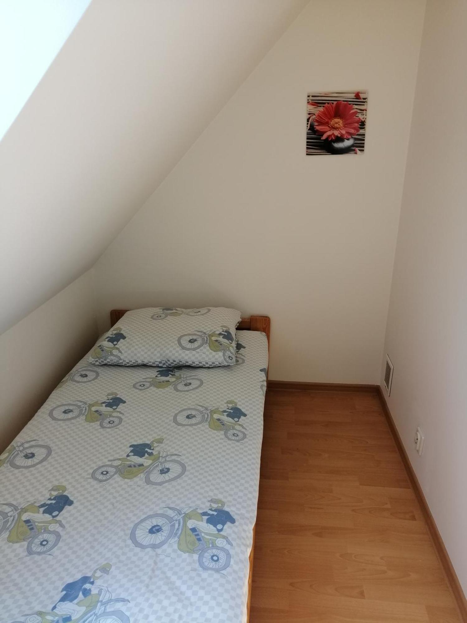 Domki Alex I Maciek Plesna  Exterior photo